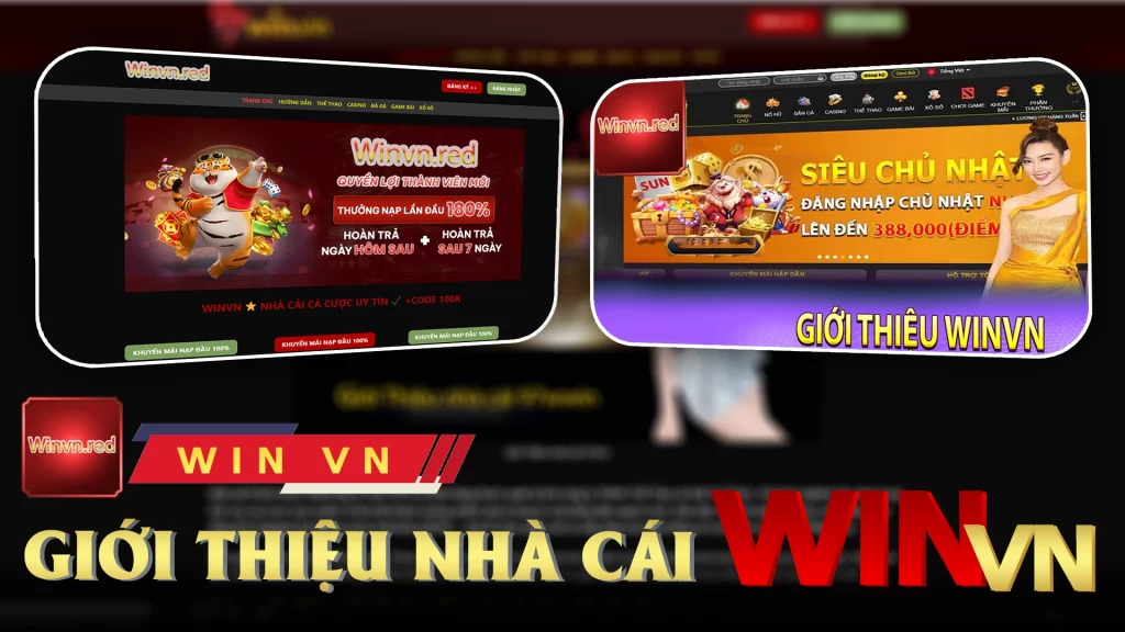 Giới thiệu nhà cái Winvn 01